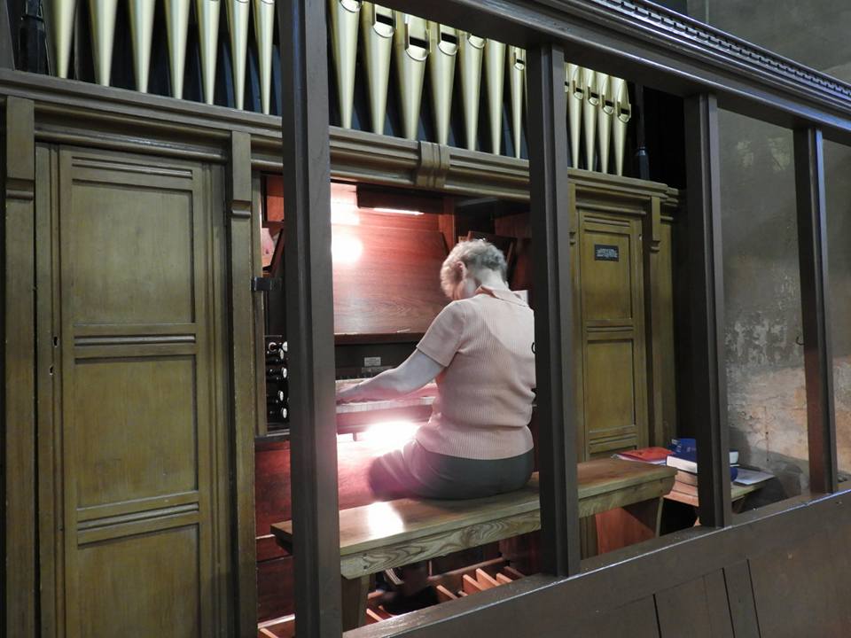 33381467_10209666084643996_3147392274057396224_n